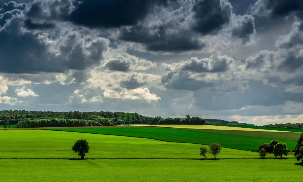 Green Field Sky Clouds Trees Horizon