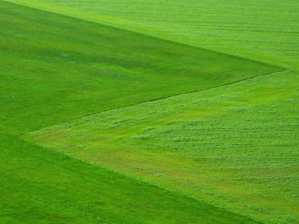 Green Fields Grass Landscape