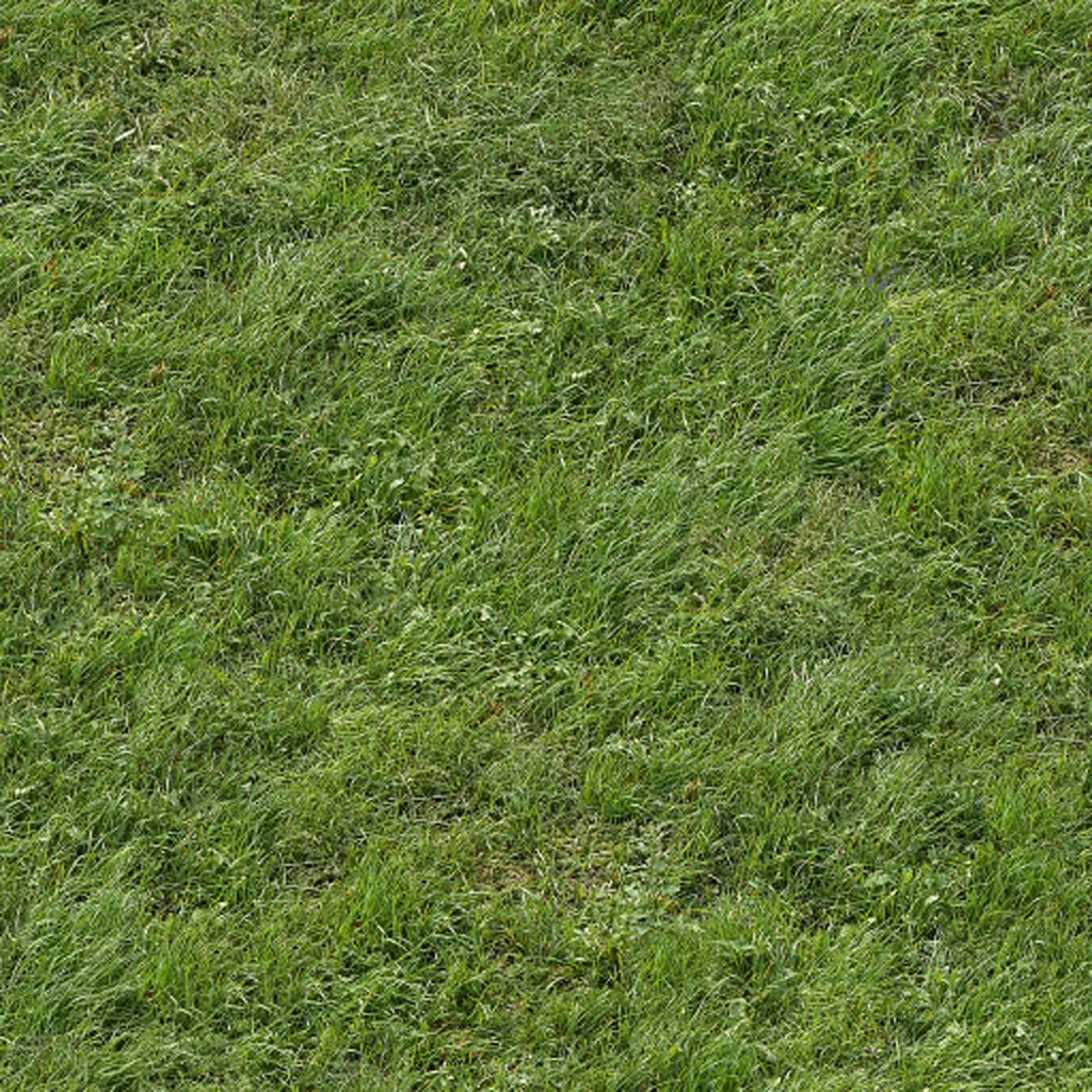 Green Grass Field Nature