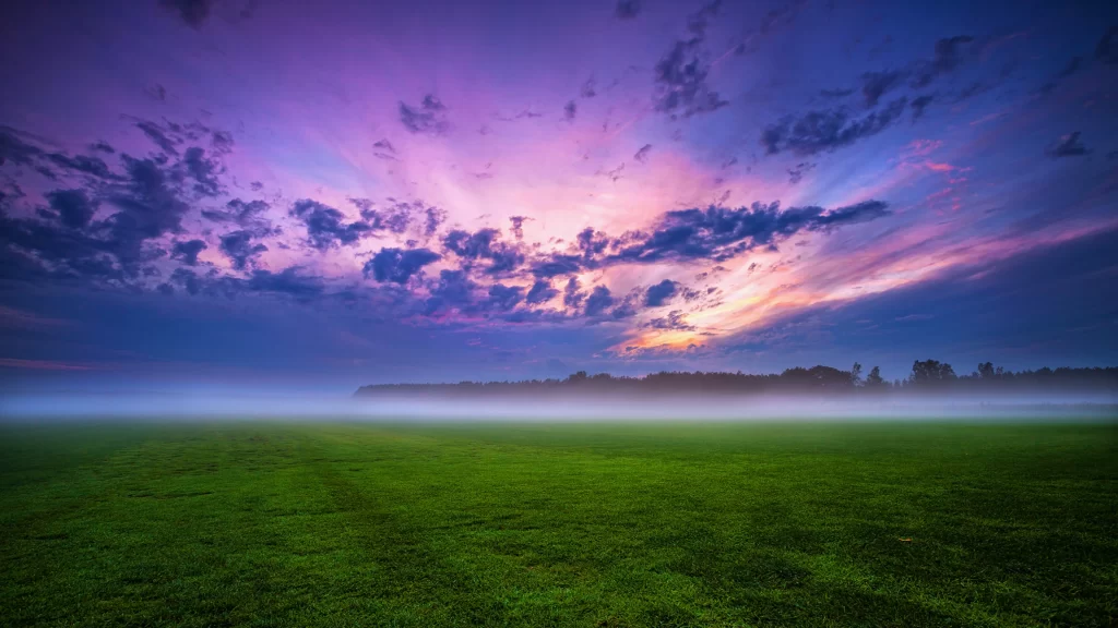 Green Grass Field Purple Sky Clouds Sunset