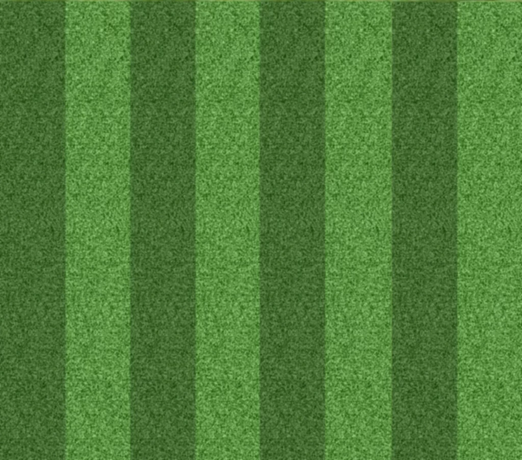 Green Grass Lawn Pattern
