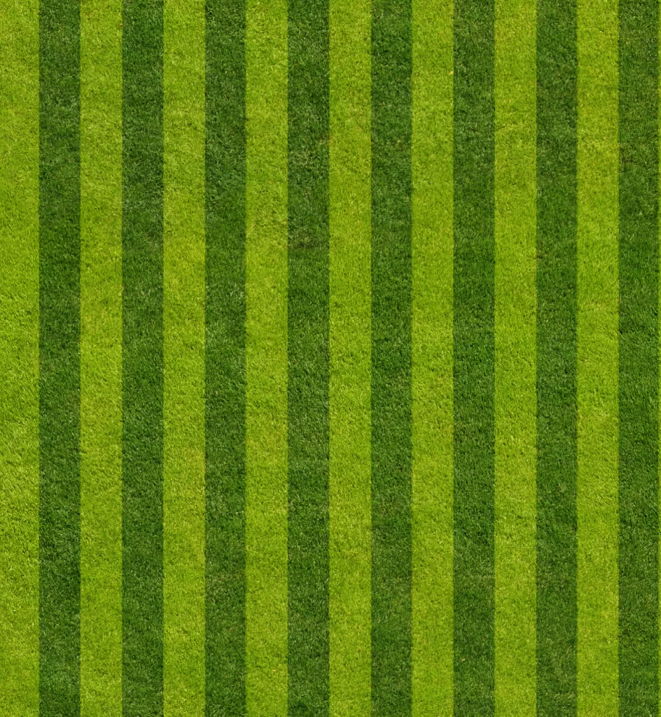 Green Grass Lawn Stripes Pattern