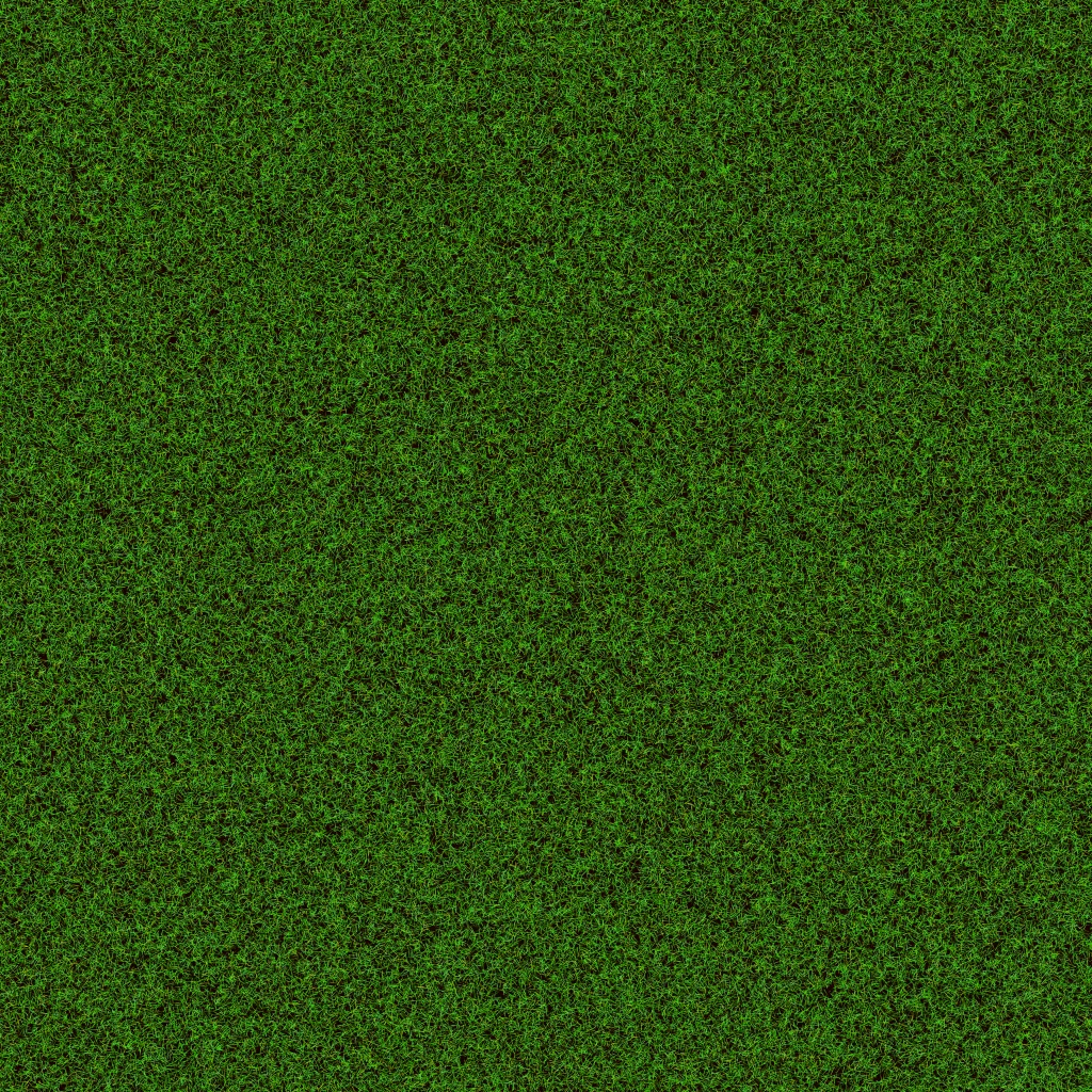 Green Grass Lawn Texture