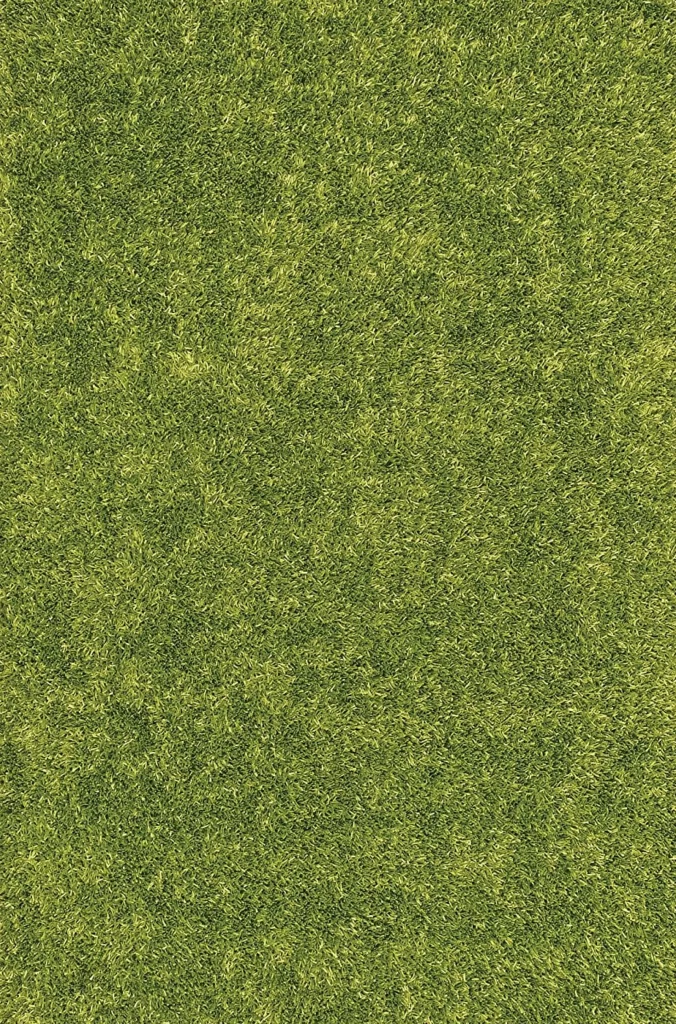 Green Grass Texture