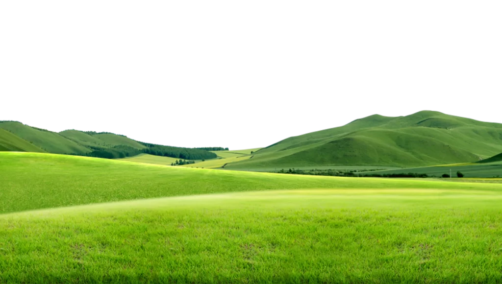 Green Hills Meadow Nature Landscape