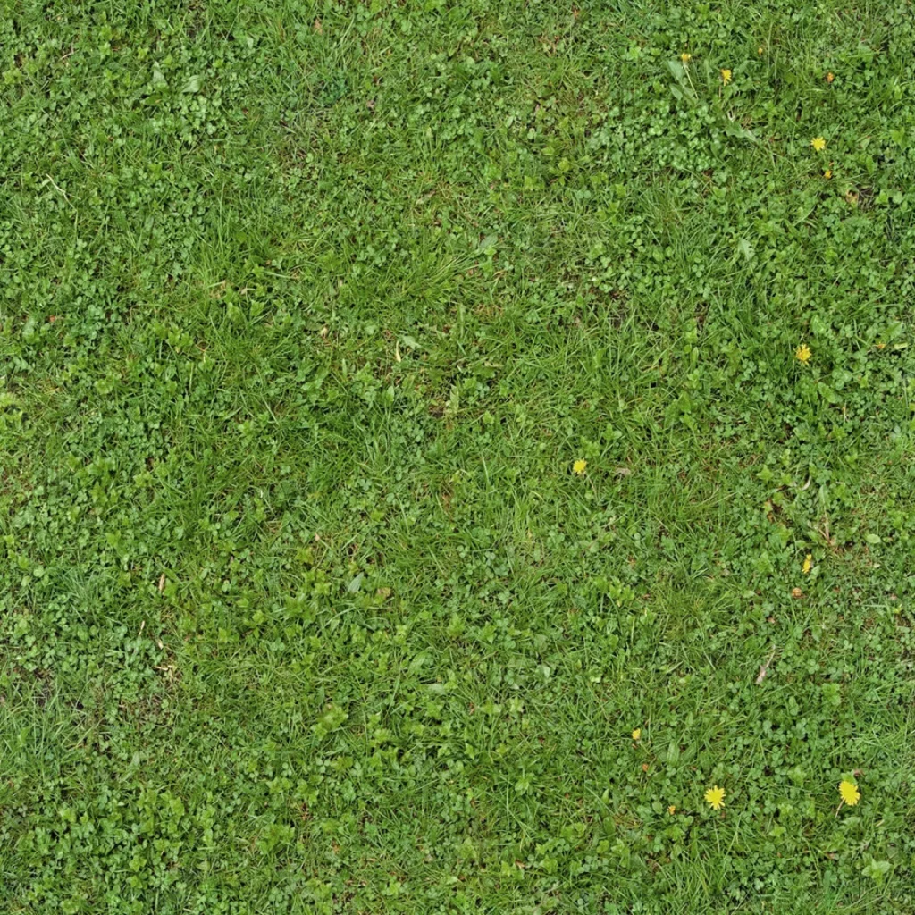 Green Lawn Clover Dandelions Nature