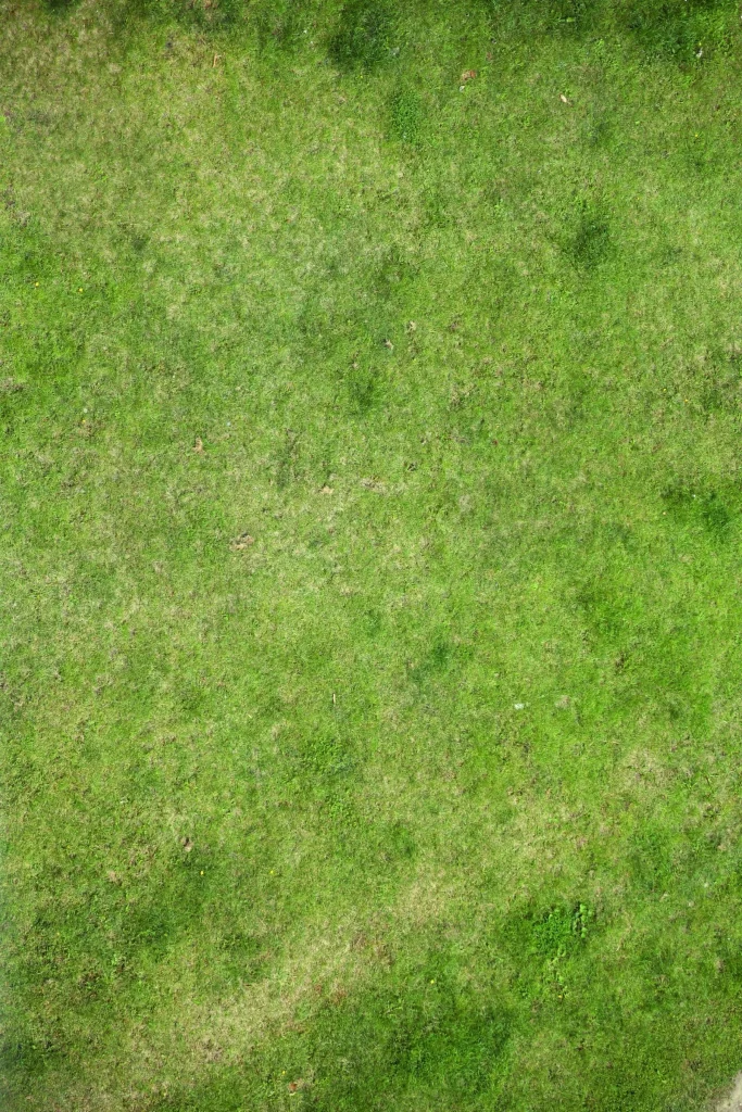 Green Lawn Grass Lawn Care