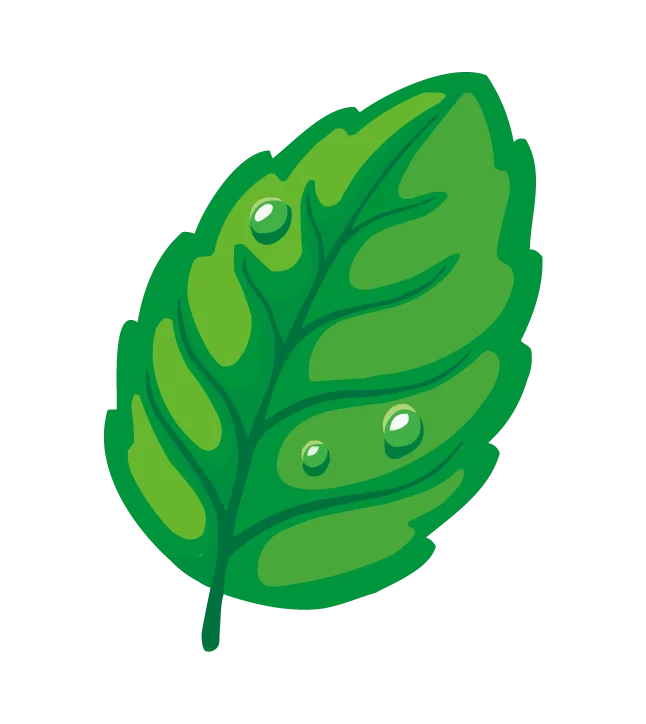 Green Leaf Water Droplet Nature Graphic