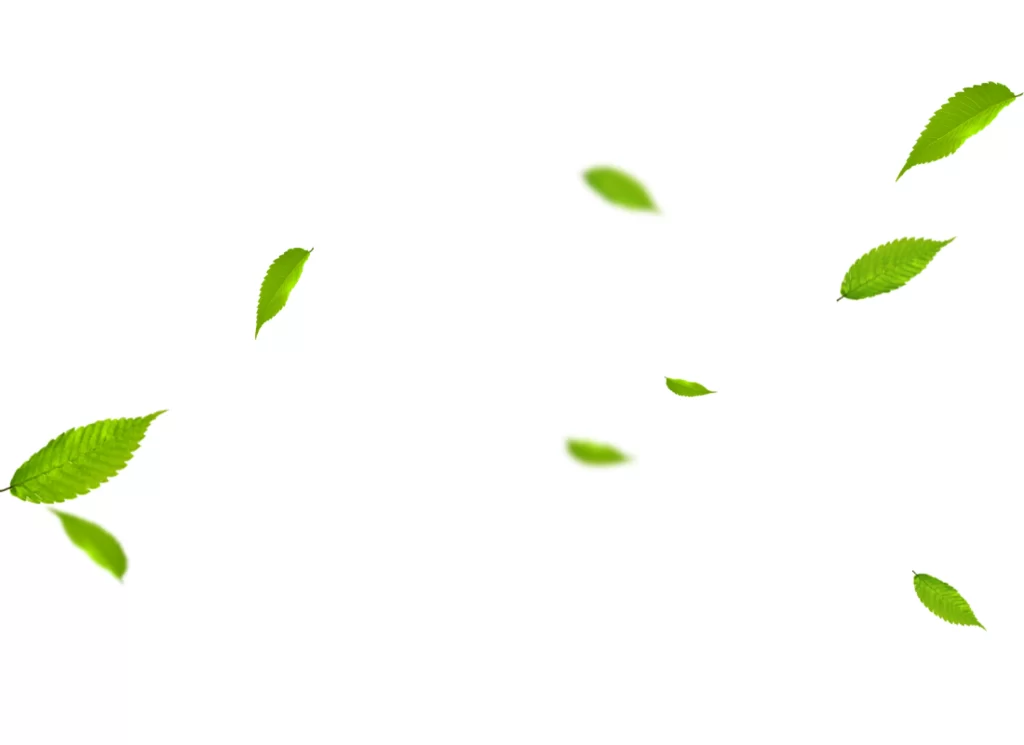 Green Leaves Falling
