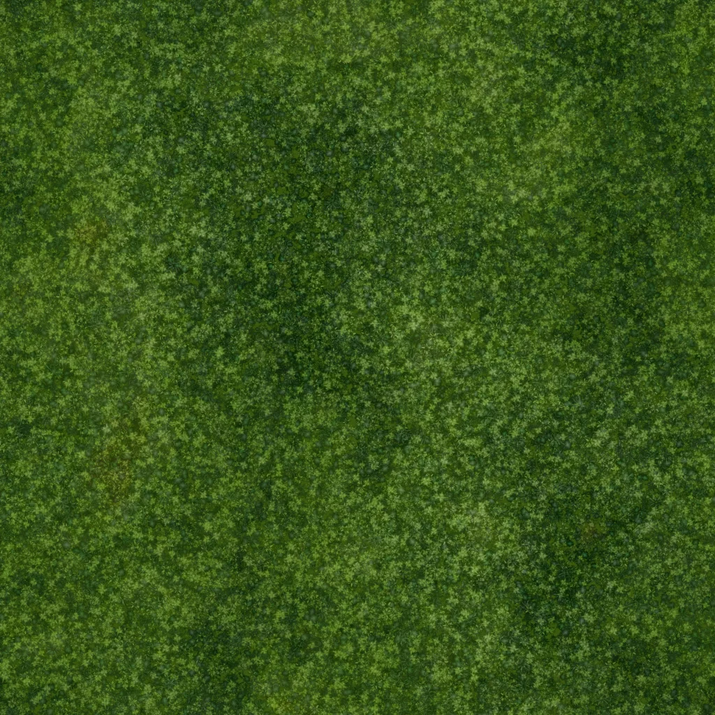 Green Moss Texture Nature