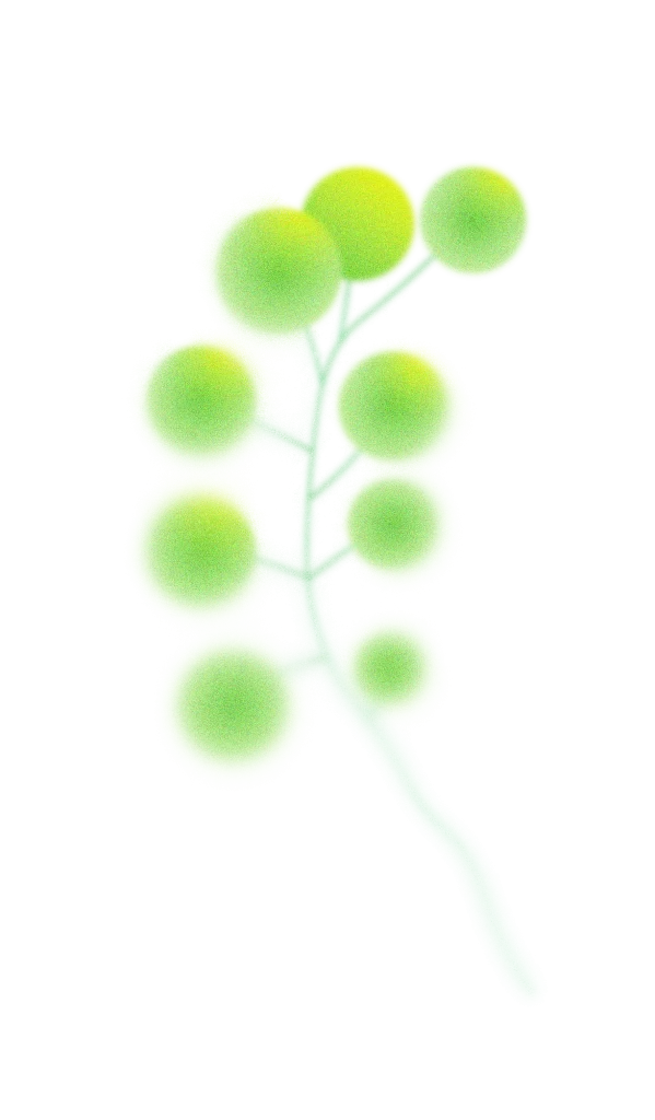 Green Plant Branch Leaves