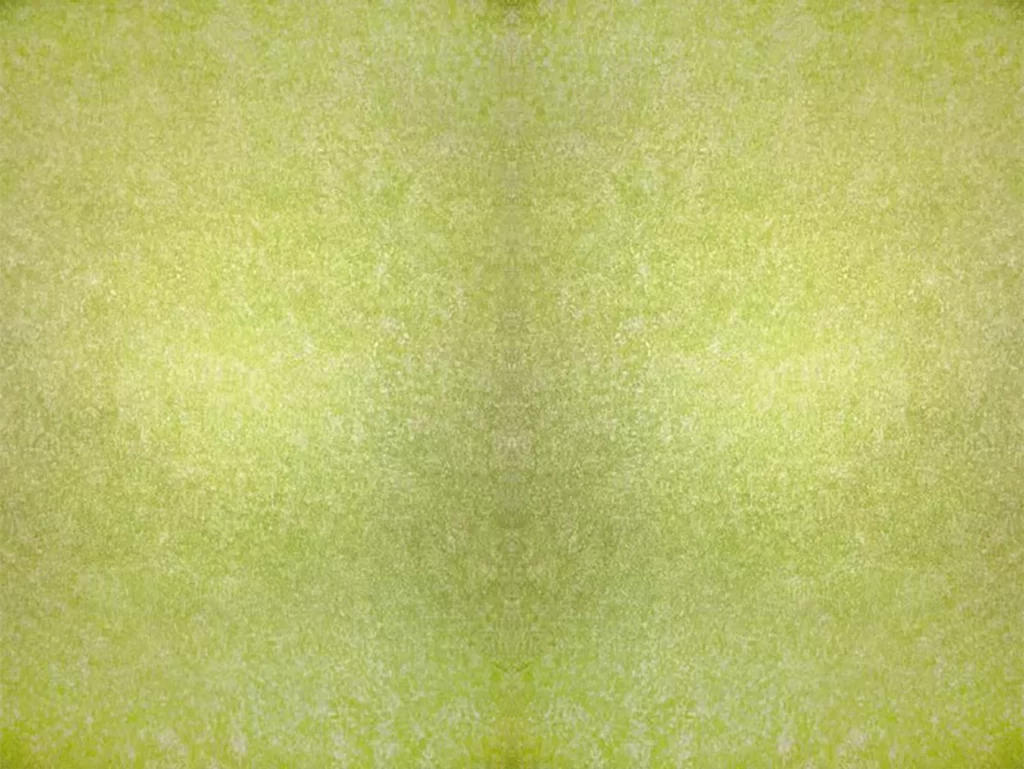 Green Texture Abstract Pattern