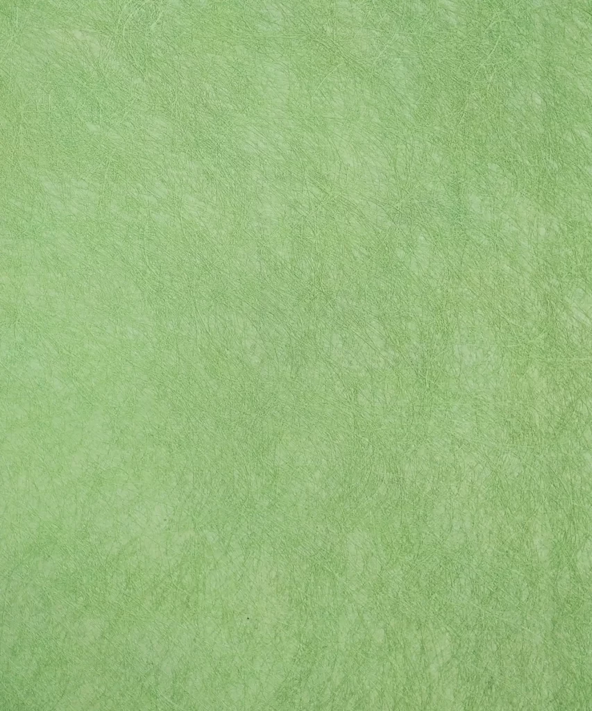 Green Texture Paper Surface