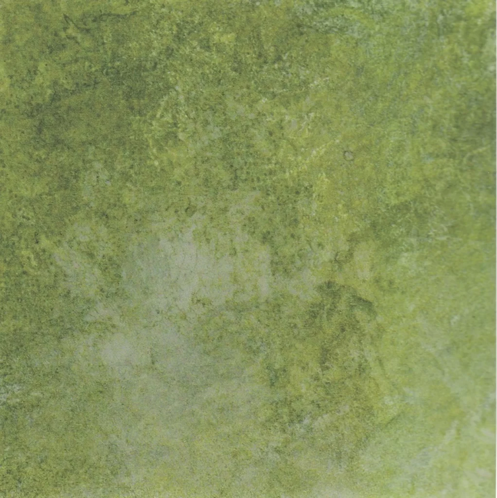 Green Texture Wall Surface