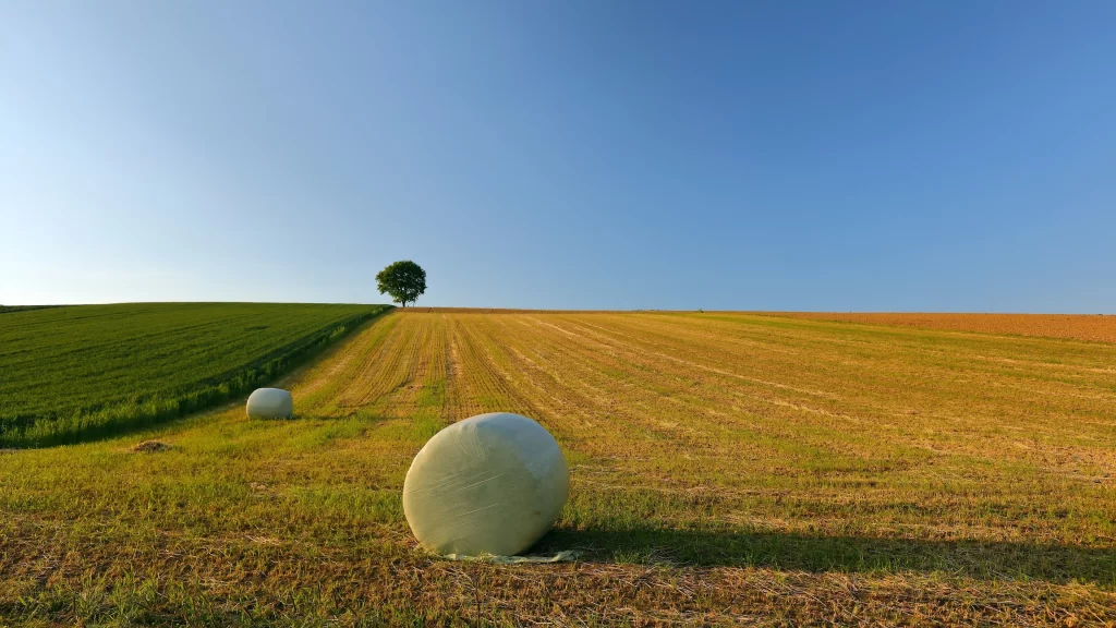 Green Wheat Field Yellow Hay Bale Blue Sky