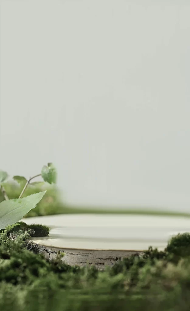 Greenery Nature Moss Leaves
