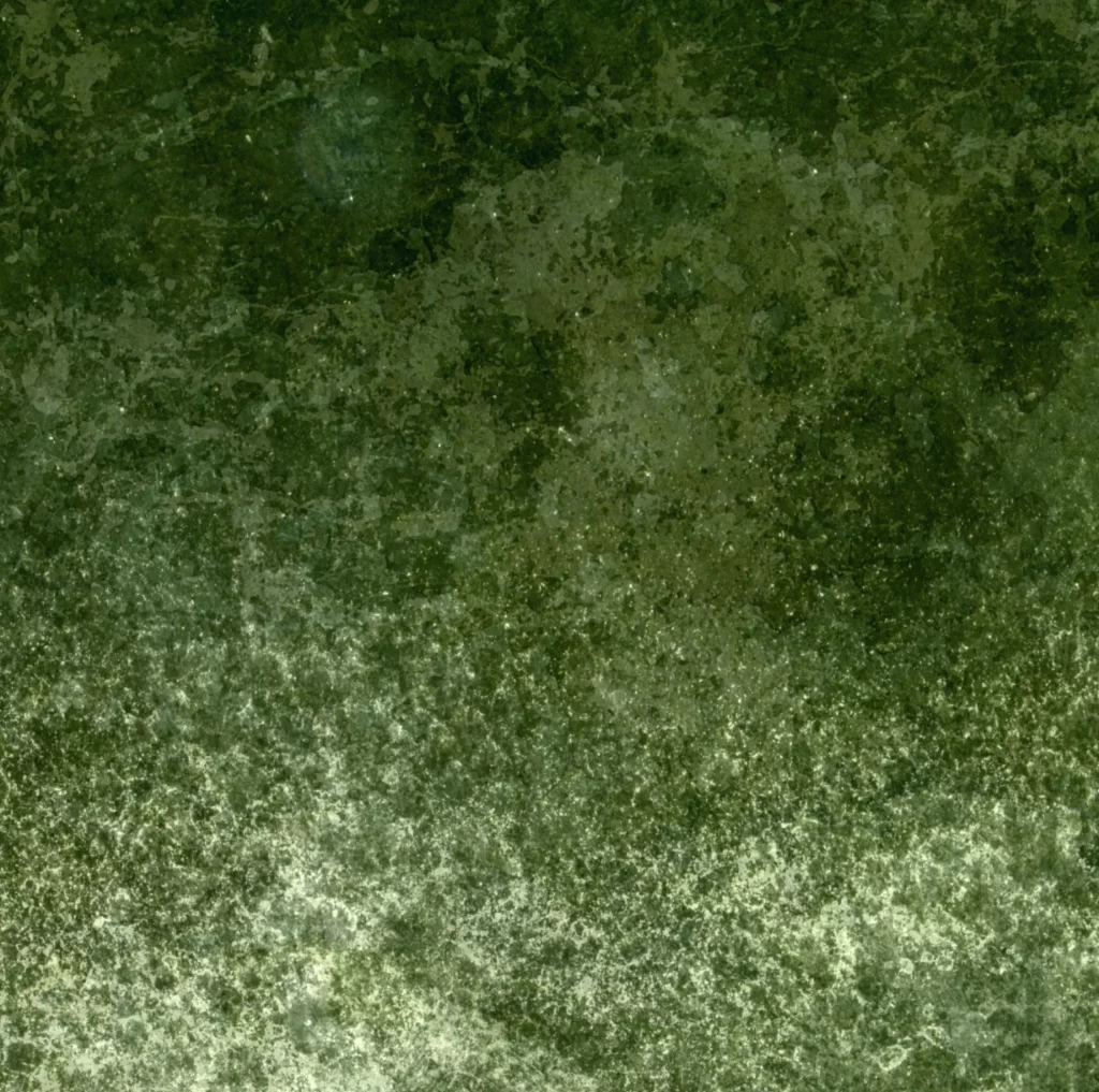 Grungy Texture Weathered Surface Green Tones Distressed Pattern Aged Material