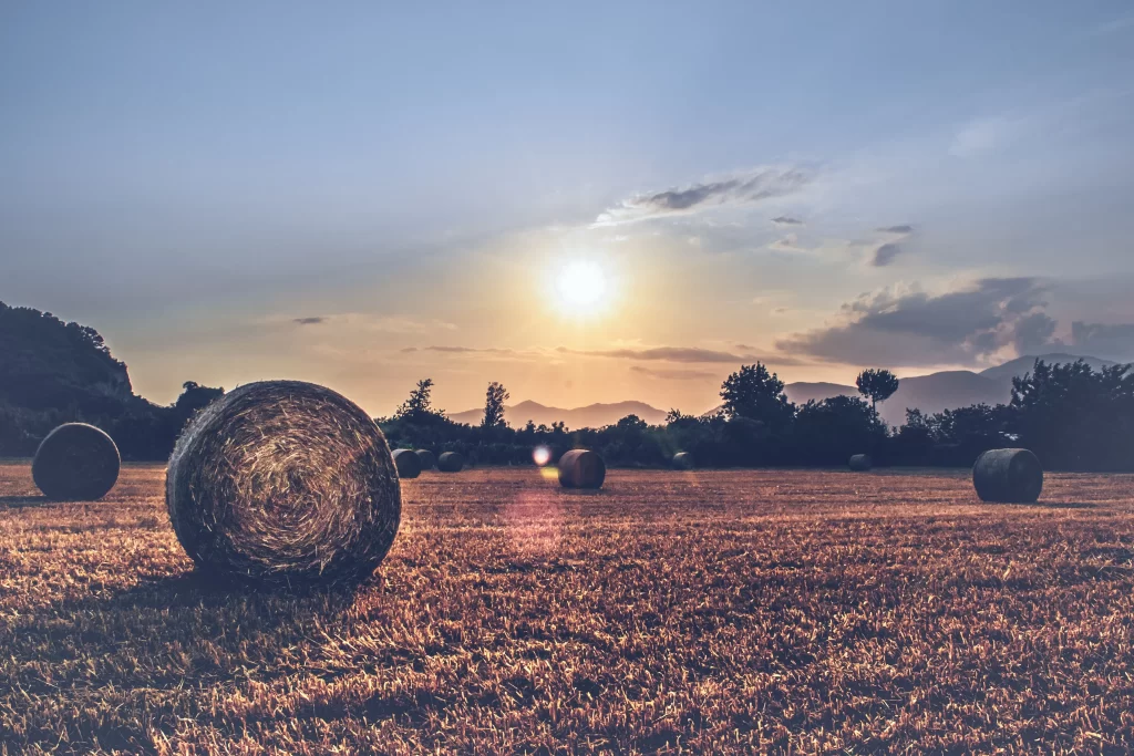Hay Bale Field Sunset Golden Brown Wheat Harvest