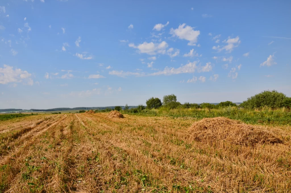 Haystack Brown Green Field Blue Sky