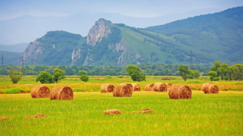 Haystack Green Field Blue Mountain Sky