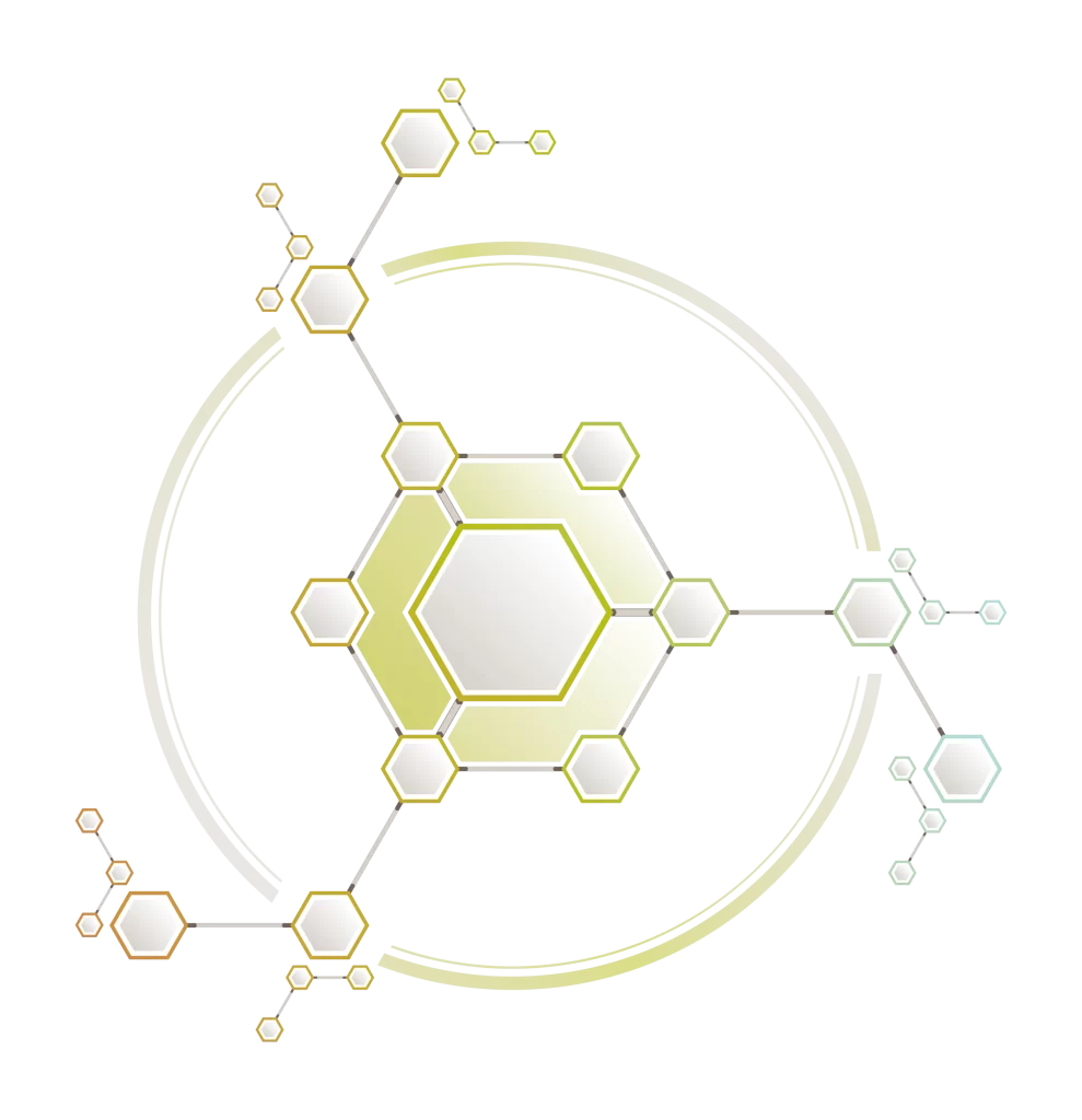 Hexagonal Network Connection Structure