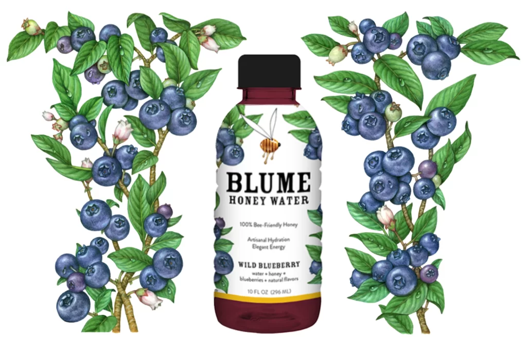 Honey Water Blueberry Bottle Illustration