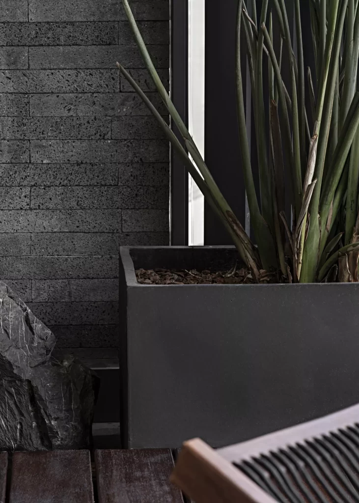 Industrial Chic Plant Greenery Dark Tones Stone Texture