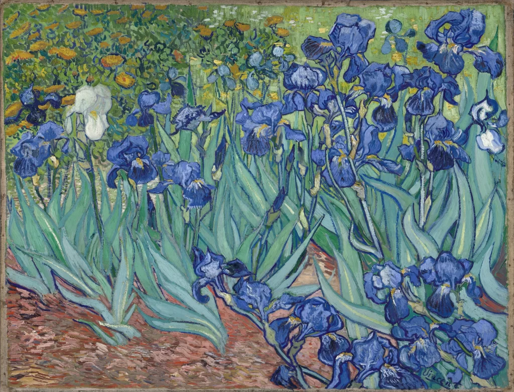 Irises Van Gogh