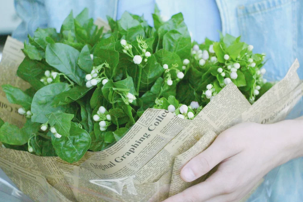 Jasmine White Green Leaf Blue Denim