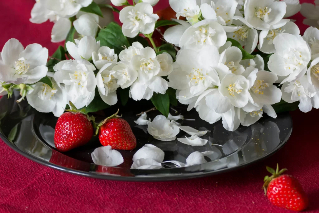 Jasmine White Petals Green Leaves Red Tablecloth