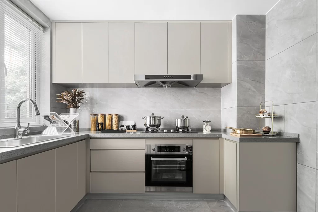 Kitchen Contemporary Neutral Gray Stainless Steel