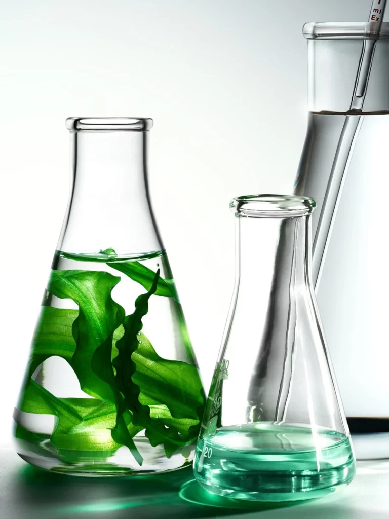Laboratory Glassware Chemicals Plant