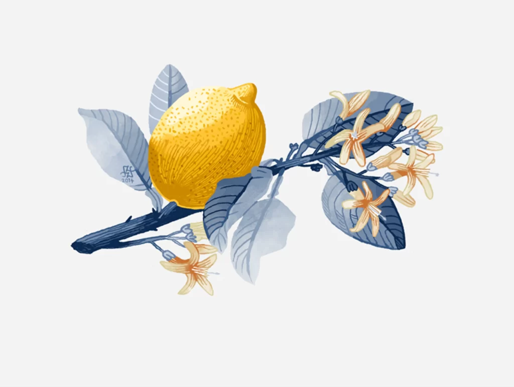Lemon Branch Flowers Leaves