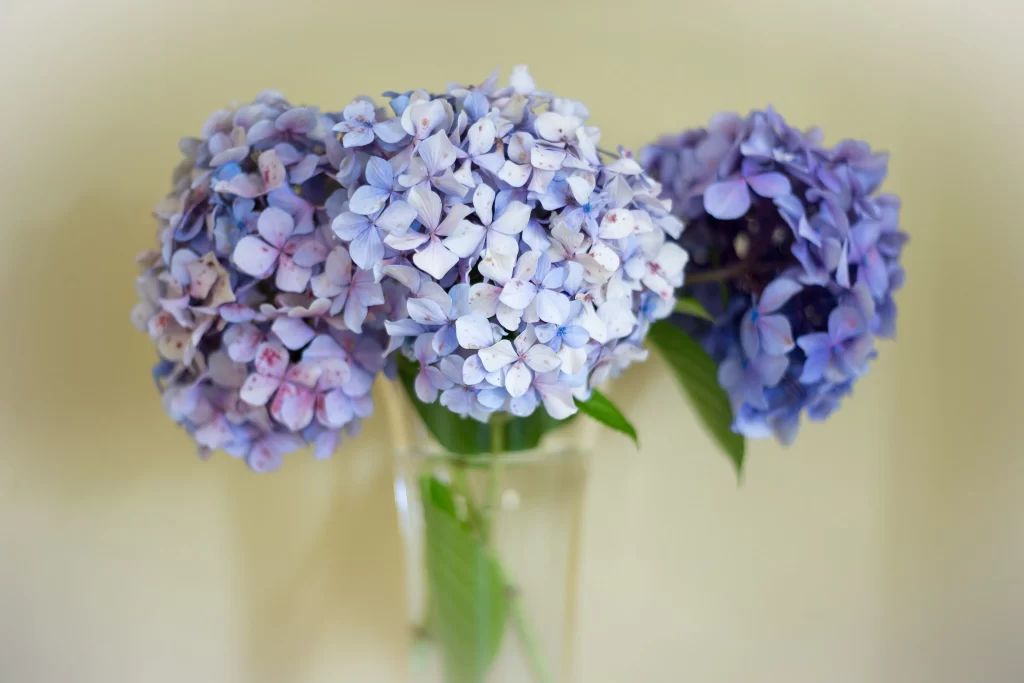 Lilac Hydrangea Petals Round Cluster