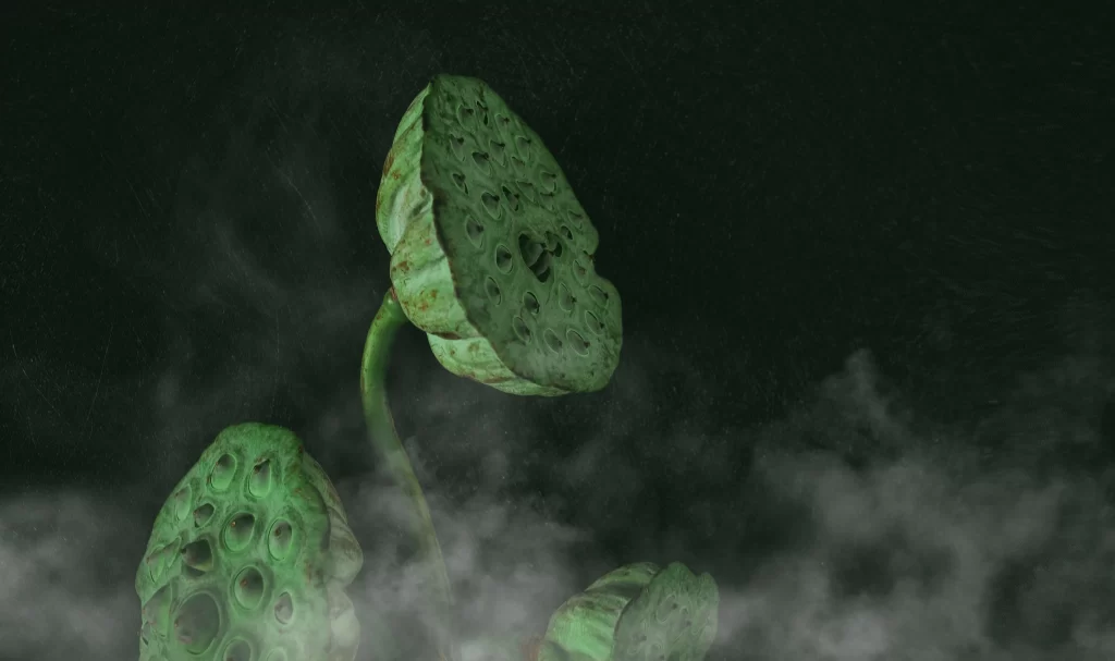 Lotus Leaf Green Dark Background Mist