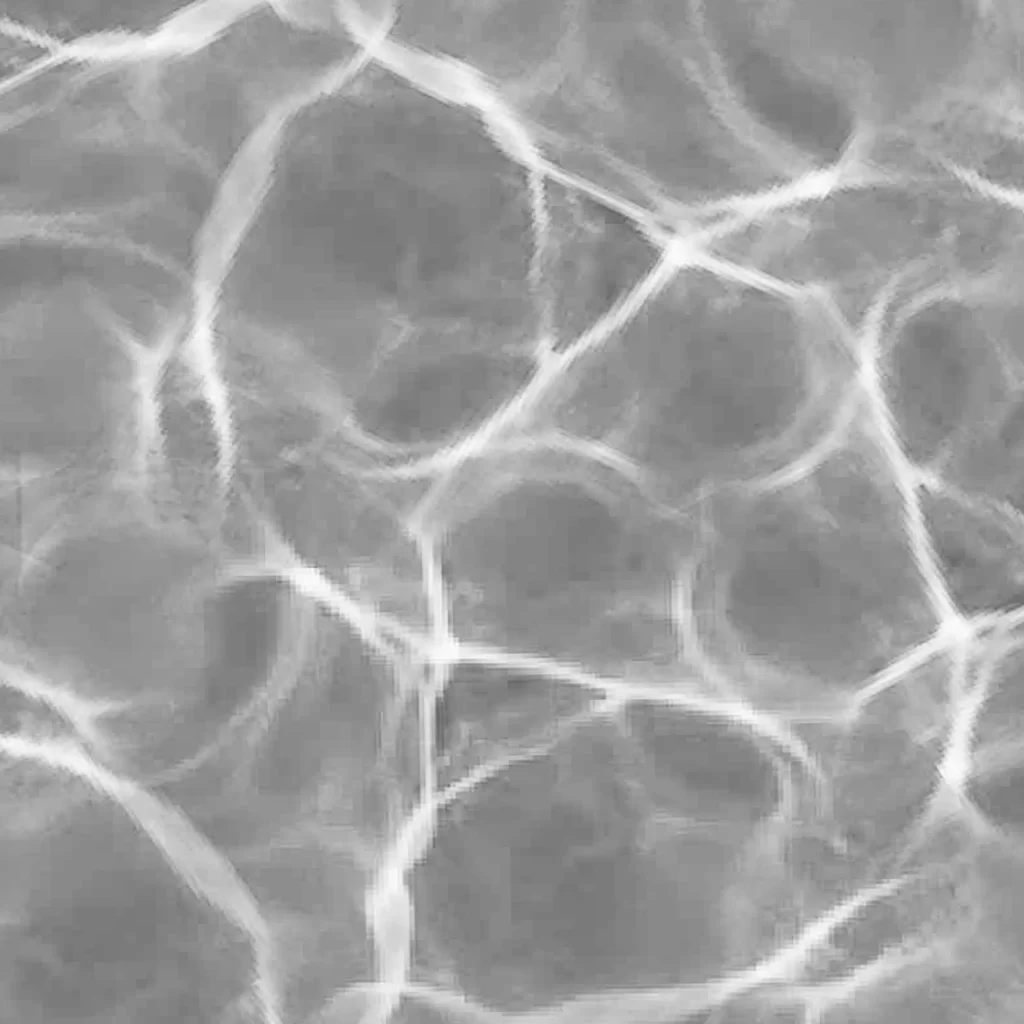 Microscopic Cells Biological Structure Hexagonal Pattern