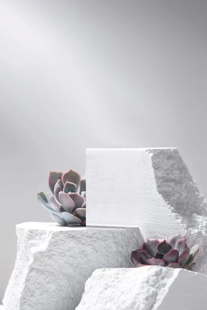 Minimalist Architecture Succulent Plants