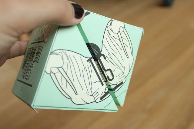 Mint Green Box Illustration Packaging Design