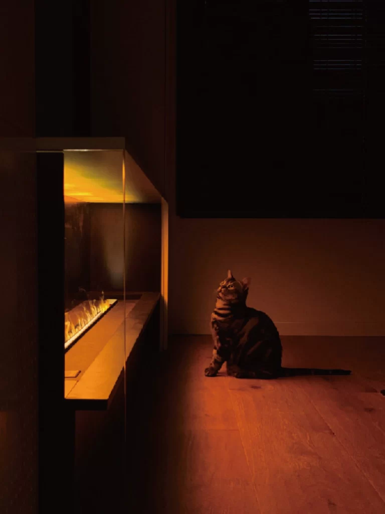 Modern Fireplace Dark Wood Floor Cozy Warm Lighting