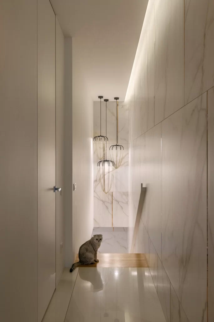 Modern Minimalist Hallway White Marble Neutral Light Wood