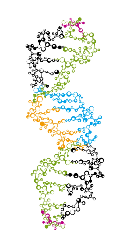 Molecular Structure Colorful Atoms Bonds