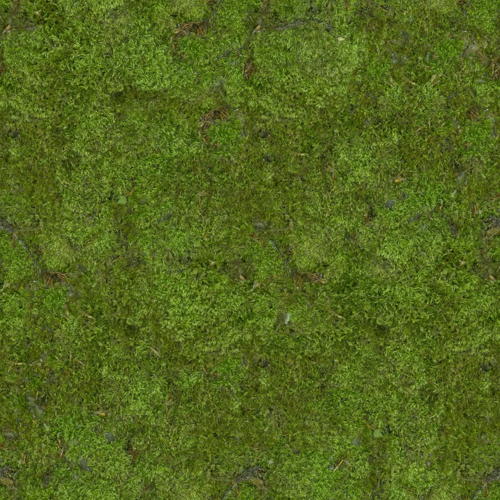 Moss Texture Greenery Nature