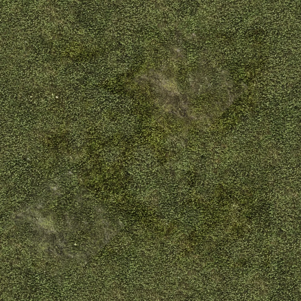 Mossy Surface Nature Texture
