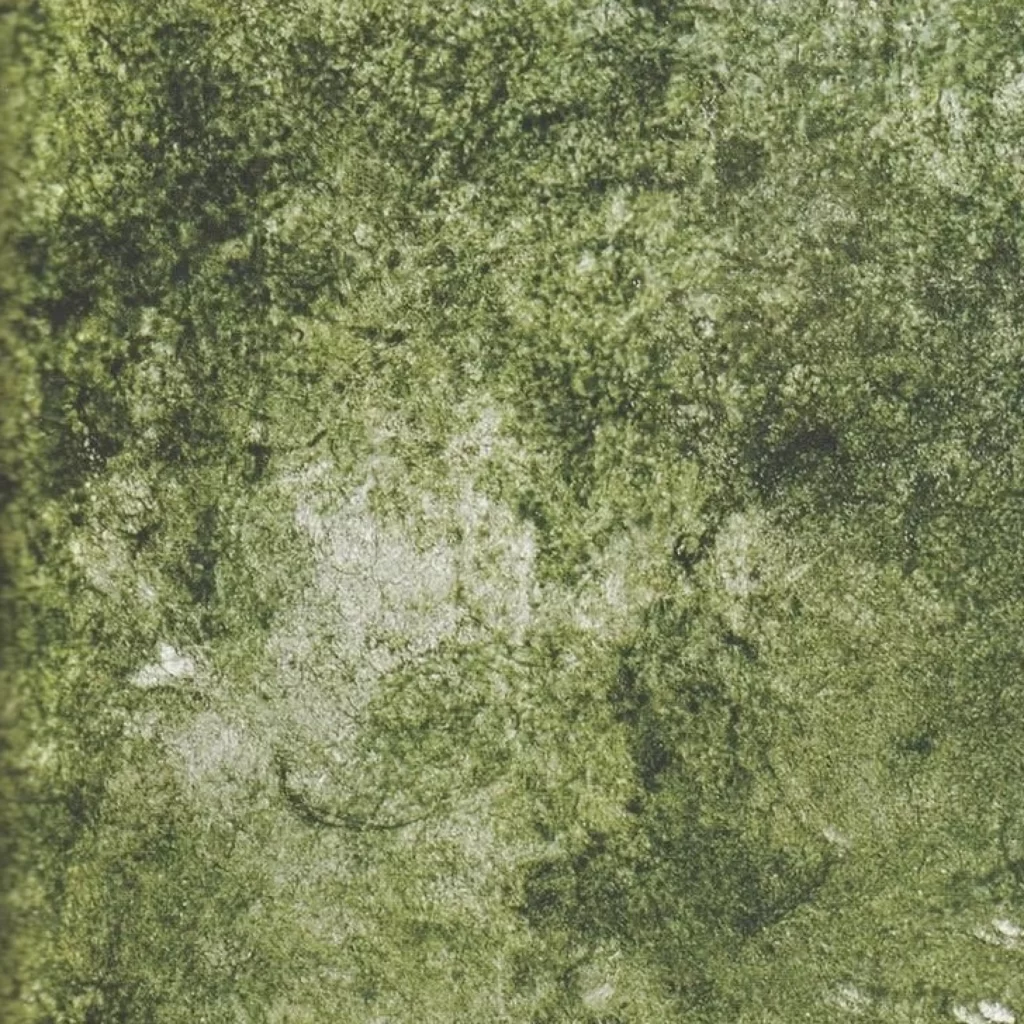 Mossy Texture Green Surface