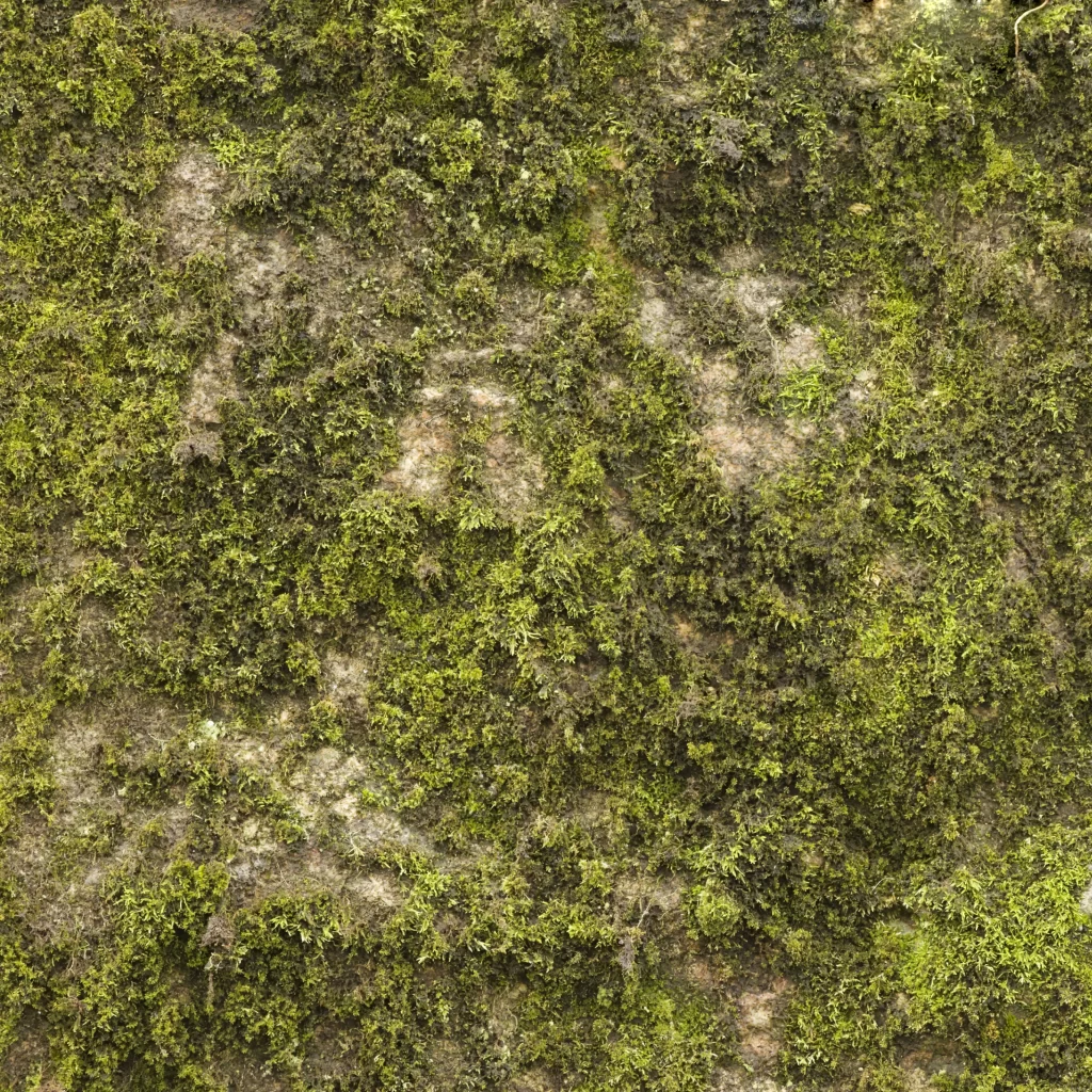Mossy Wall Nature Texture Greenery