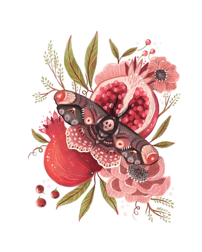 Moth Pomegranate Flowers Nature