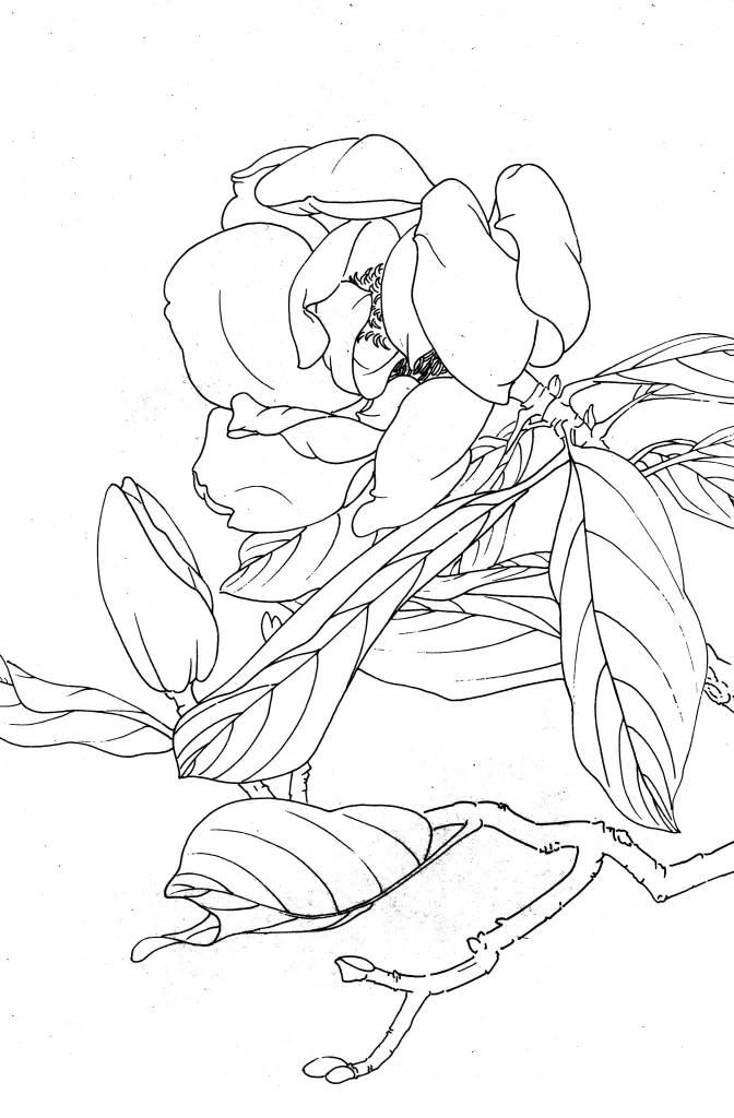 Mountain Patch Chinese Line Drawing Botanical Art