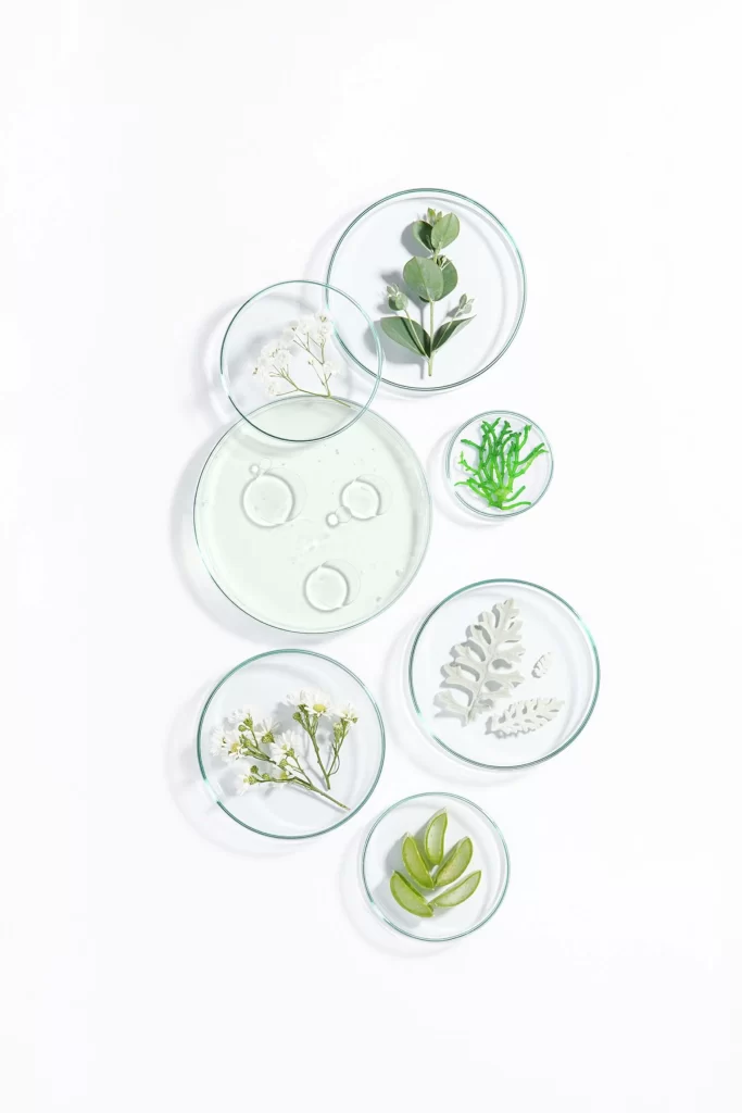 Nature Botany Science Experiment