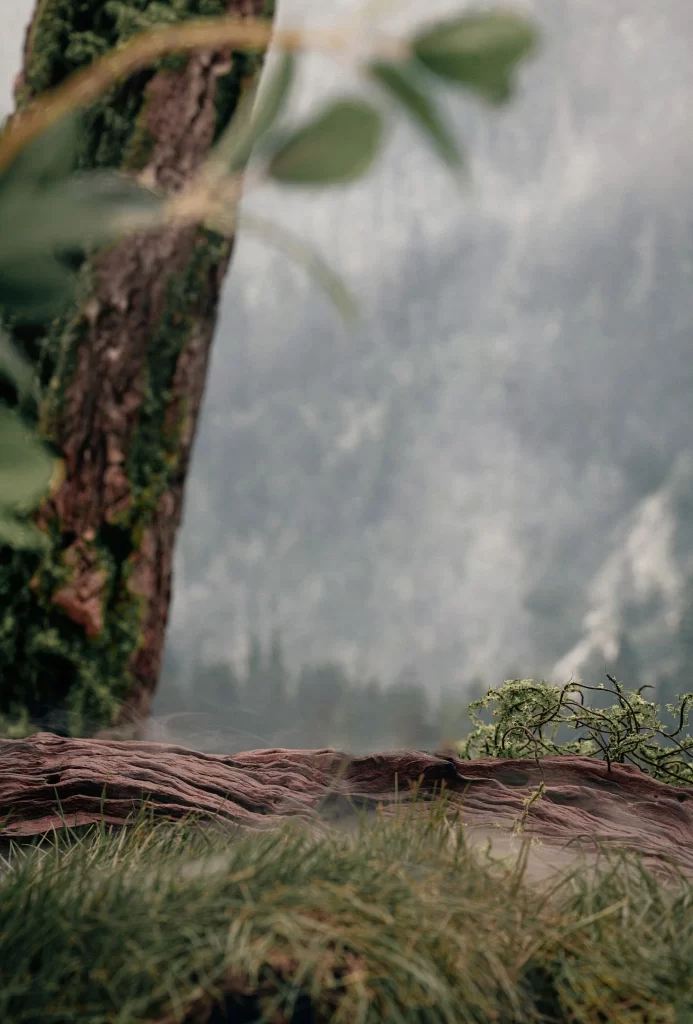 Nature Forest Moss Tree