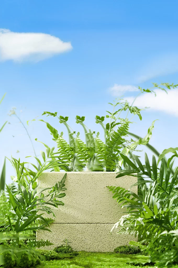Nature Greenery Plant Growth